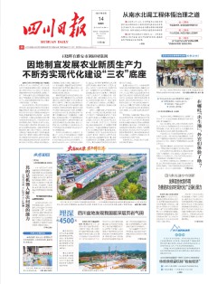 四川日报